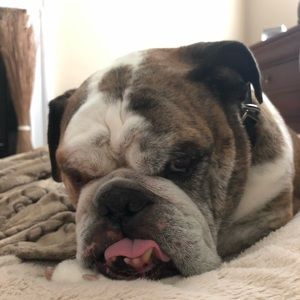 Meet your Posher, Kate